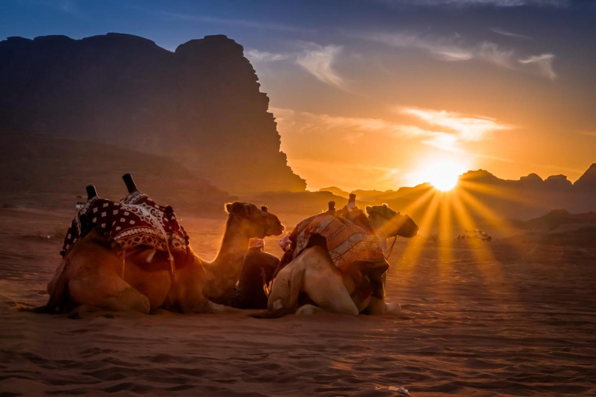 Wadi Rum Mundo Camp Akaba Eksteriør bilde